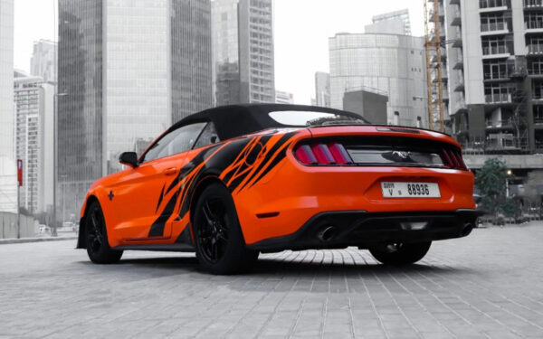 Ford Mustang Shelby GT Kit Convertible V4 2019