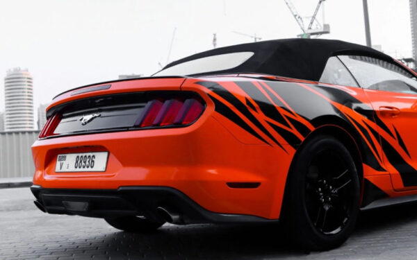 Ford Mustang Shelby GT Kit Convertible V4 2019