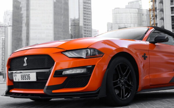 Ford Mustang Shelby GT Kit Convertible V4 2019