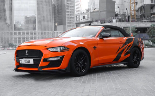 Ford Mustang Shelby GT Kit Convertible V4 2019