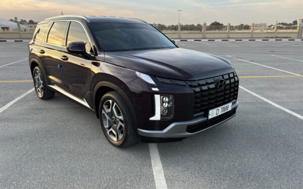 Hyundai Palisade 2024